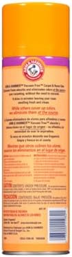 Arm Hammer Carpet Odor Eliminator Spray 15 oz Pack of 2