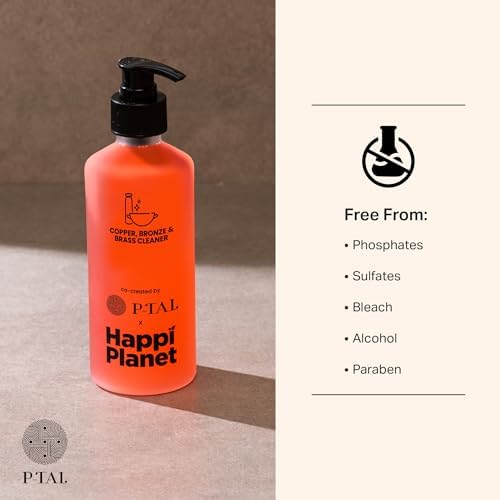 P-TAL Brass Cleaner Instant Copper Cleaner 10 Fl Oz