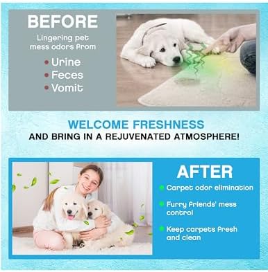 NonScents Carpet Rug Odor Eliminator - Pet Safe Fragrance Free