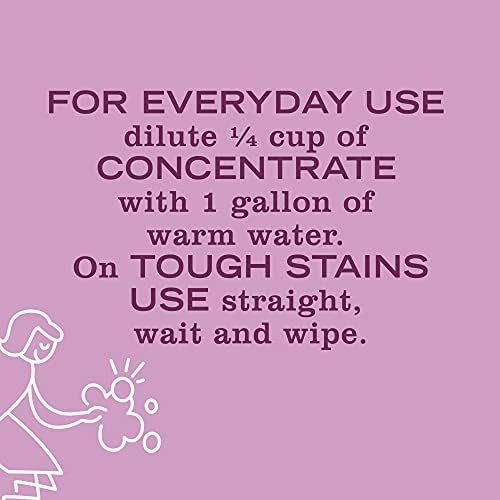 Mrs Meyers Clean Day Multi-Surface Cleaner Concentrate 32 fl oz - Pack of 2