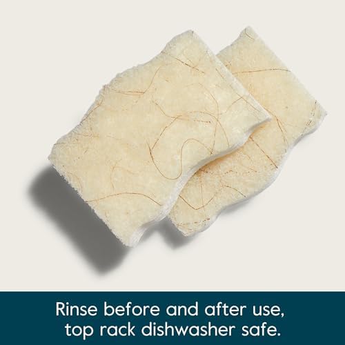 Grove Co Natural Coconut Scrubber Sponges 6 Pack