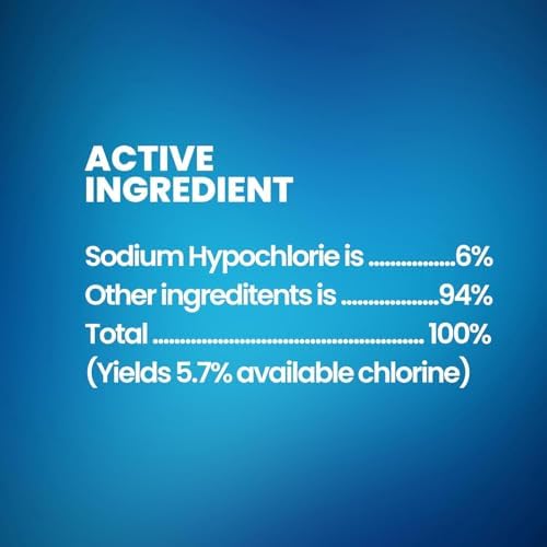 6 Gallons Liquid Chlorine Bleach with 1 Gallon Jugs