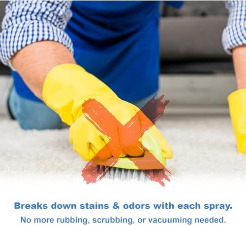 Spot Shot Instant Carpet Stain Remover 2 Pack