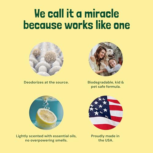 Sunny Honey Carpet Miracle Powder - 20 oz Lemonade Scent