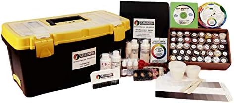 Americolor Dyes Professional Carpet Spot Dye Kit 1