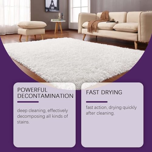 Instant Carpet Spot Remover with Reusable Cloth