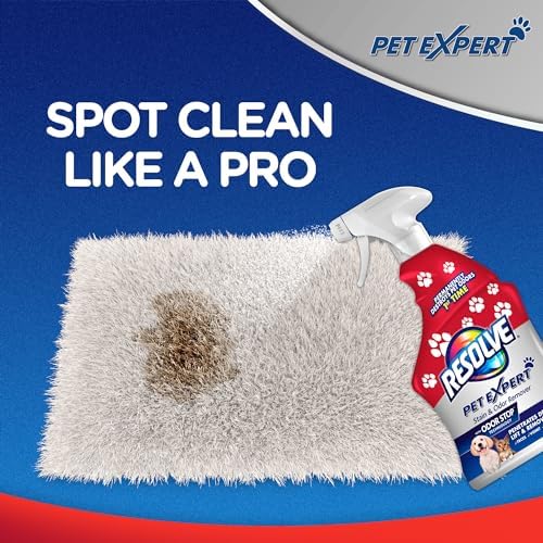 Resolve Pet Expert Stain and Odor Remover - 22 oz 1