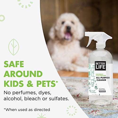 Better Life All Purpose Cleaner - 32oz Unscented Multi-Surface Spray