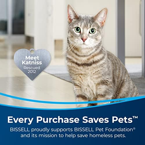 Bissell Pet Stain Odor Plus Antibacterial Carpet Cleaner 1