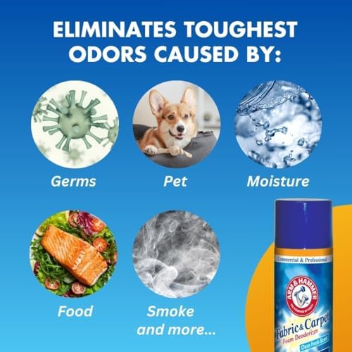 Fabric and Carpet Foam Deodorizer Professional 15 fl oz Case of 8