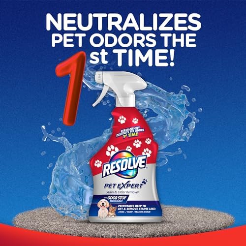 Resolve Pet Expert Stain and Odor Remover - 22 oz 1