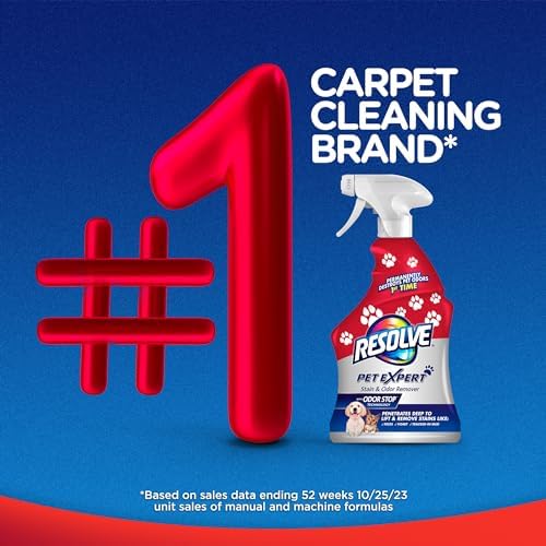 Resolve Pet Expert Stain and Odor Remover - 22 oz 1