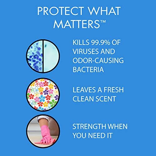 Theochem In-Cide Disinfectant Spray 32 oz 2 Pack 1