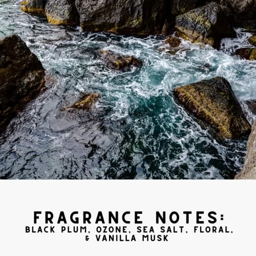 The Diamond Life Home Noir Luxe Sea Salt Ozone Carpet Powder Bundle