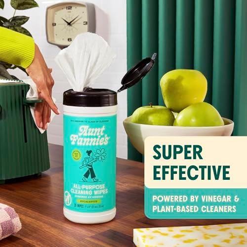 Aunt Fannies Natural Cleaning Vinegar Wipes 35 Count
