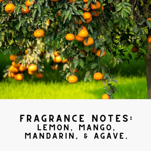 The Diamond Life Citrus Lemon Mango Carpet Powder