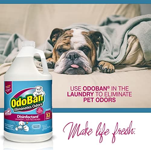 OdoBan Disinfectant with Cotton Breeze Scent 2 Gallons