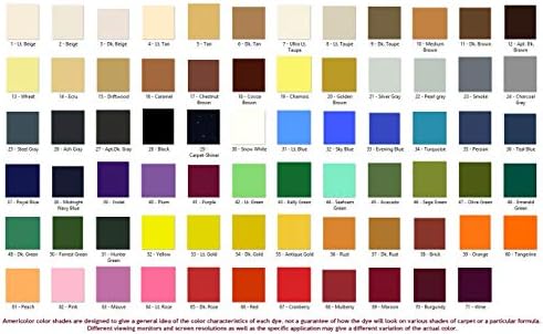 Americolor Dyes Professional Carpet Spot Dye Kit 1