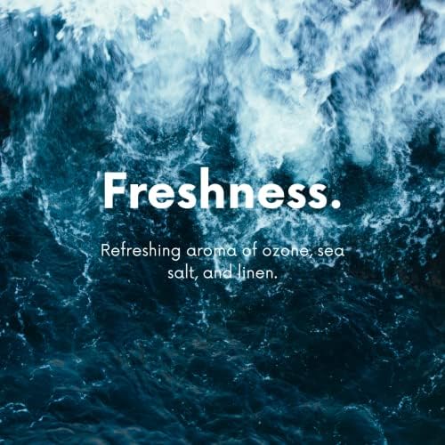 Home Sea Mist Natural Carpet Deodorizer Powder for Carpets Mattresses and Pet Beds