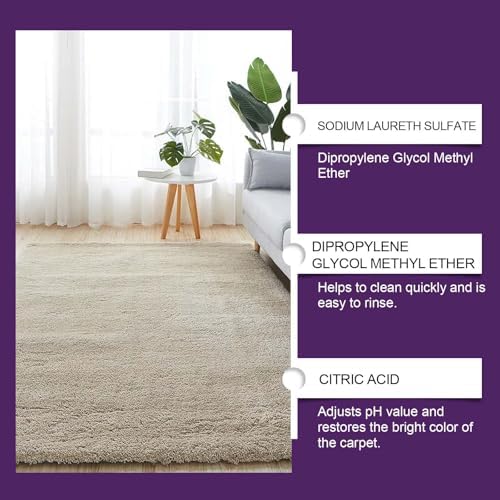 Instant Carpet Spot Remover with Reusable Cloth