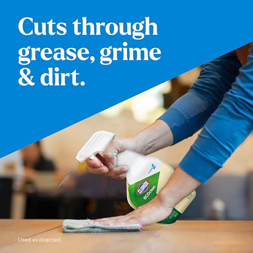 Clorox EcoClean All-Purpose Cleaner 32 oz Spray Bottle