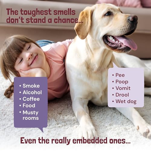Sunny Honey Carpet Deodorizer Powder - Wildberry Scent