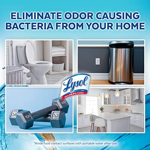 Lysol Neutraair Disinfectant Spray 10 Fl Oz Driftwood Waters
