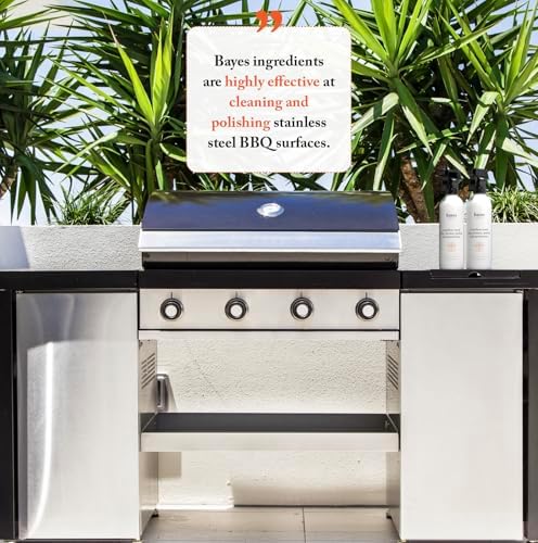 Bayes Stainless Steel BBQ Cleaner and Protectant - 16 oz 2-Pack