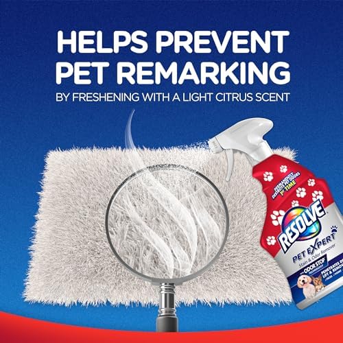 Resolve Pet Expert Stain and Odor Remover - 22 oz 1