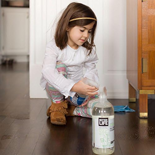 Better Life All Purpose Cleaner - 32oz Unscented Multi-Surface Spray