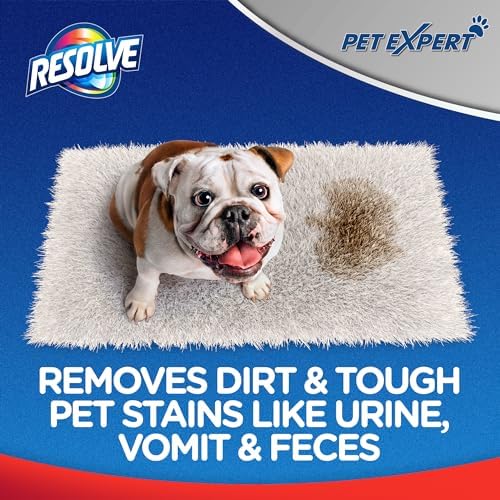 Resolve Pet Expert Stain and Odor Remover - 22 oz 1