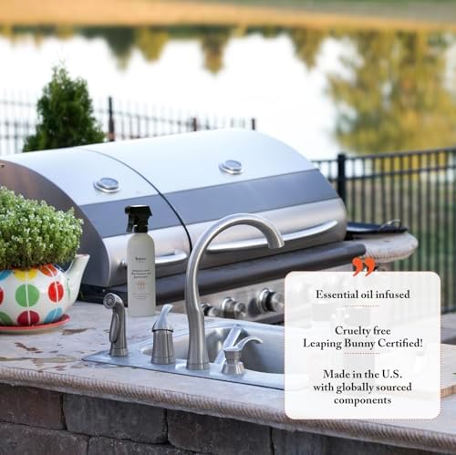 Bayes Stainless Steel BBQ Cleaner and Protectant - 16 oz 2-Pack