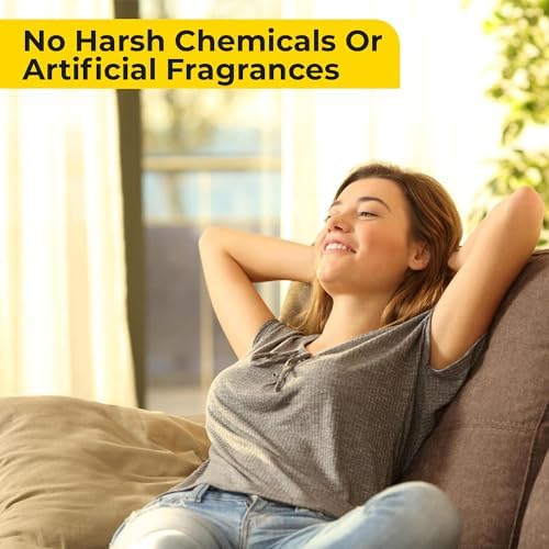 Aromasong Carpet Deodorizer Powder 2-Pack