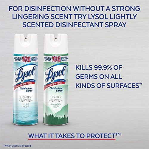 Lysol Disinfectant Spray Citrus Meadows 19 oz