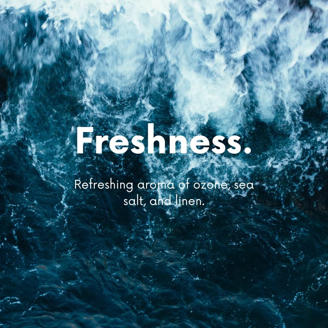 Home Sea Mist Natural Carpet Deodorizer Powder for Carpets Mattresses and Pet Beds